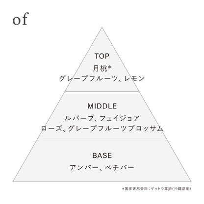 オードトワレ preposition(ディスカバリーセット)